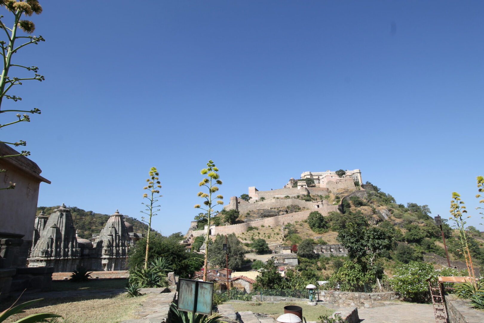 A view of some buildings and trees in the background.