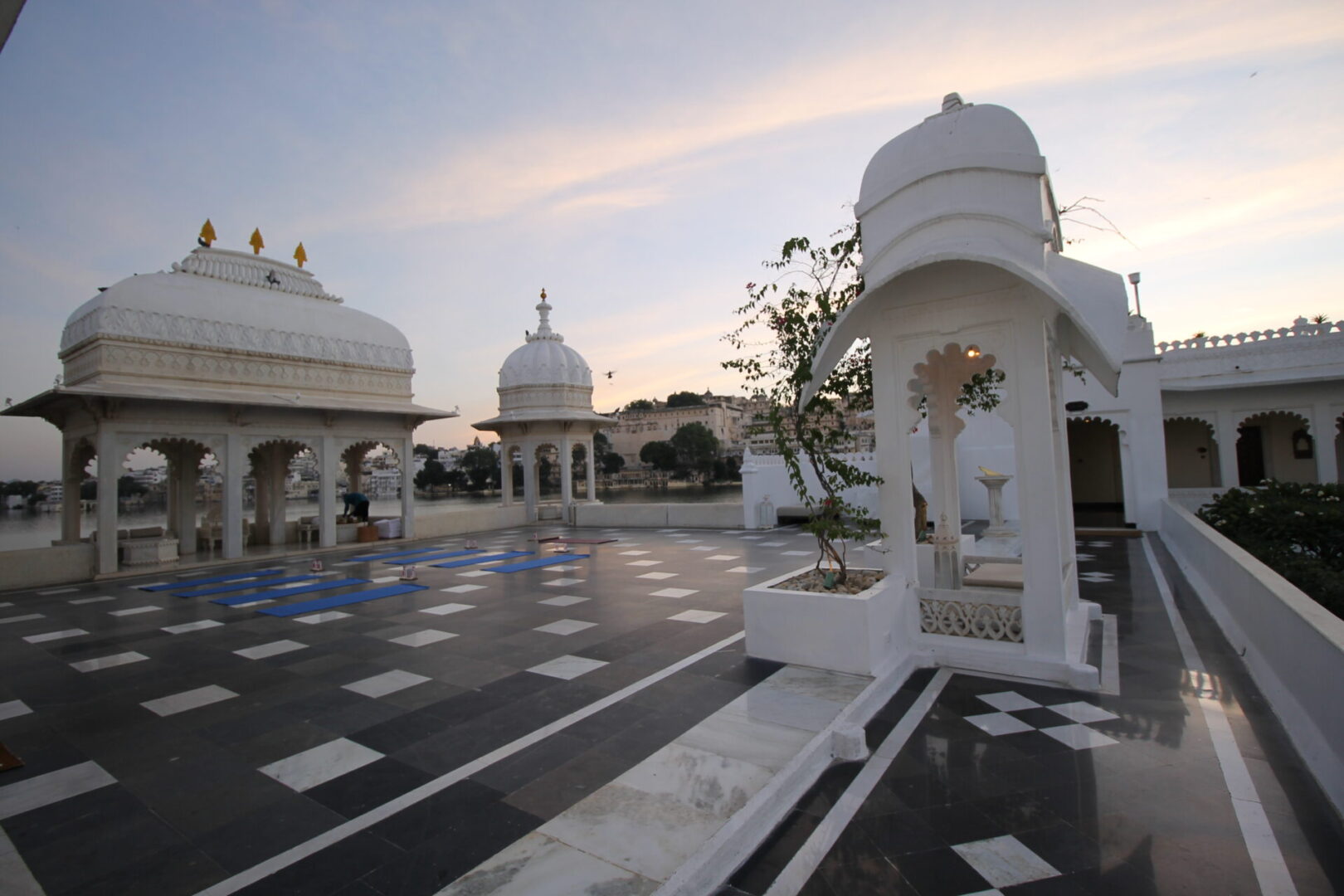 A white building with many pillars and a tree